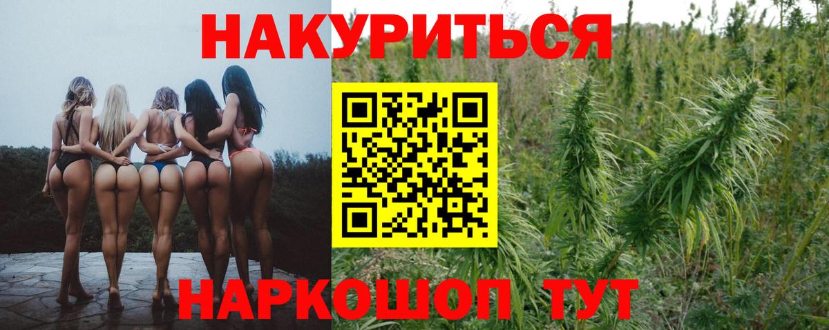 Каннабис MAZAR Гудермес